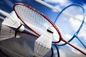 Bí Kíp Cá Cược Cầu Lông Tại PG88 Từ A Đến Z Cho Tay Cược Mới