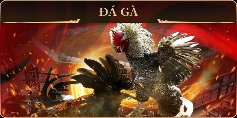 Hướng Dẫn Cách Chơi Đá Gà GA28 Tại PG88 Với Những Tính Năng Mới 2 Hướng Dẫn Cách Chơi Đá Gà GA28 Tại PG88 Với Những Tính Năng Mới