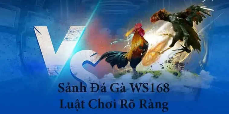 Bí Kíp Chơi Đá Gà WS168 Tại PG88 Bách Chiến Bách Thắng 2 Bí Kíp Chơi Đá Gà WS168 Tại PG88 Bách Chiến Bách Thắng
