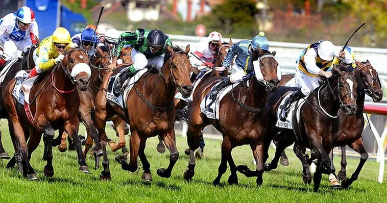 Khám Phá Cá Cược Đua Ngựa PG88 Bí Kíp Thắng Lớn Từ Cao Thủ 2 Khám Phá Cá Cược Đua Ngựa PG88 Bí Kíp Thắng Lớn Từ Cao Thủ